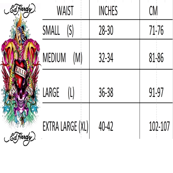 ED HARDY UNDERWEAR VINTAGE BOXER BRIEFS LARGE NEW - Picture 5 of 5